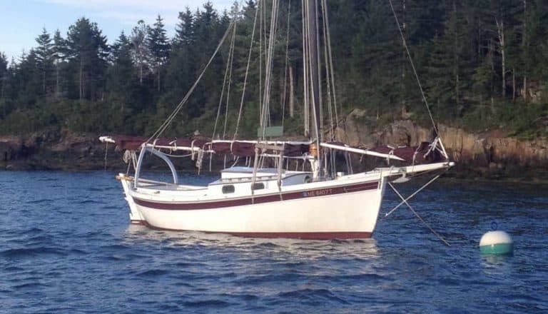 IMG 9764 1 copy 768x440