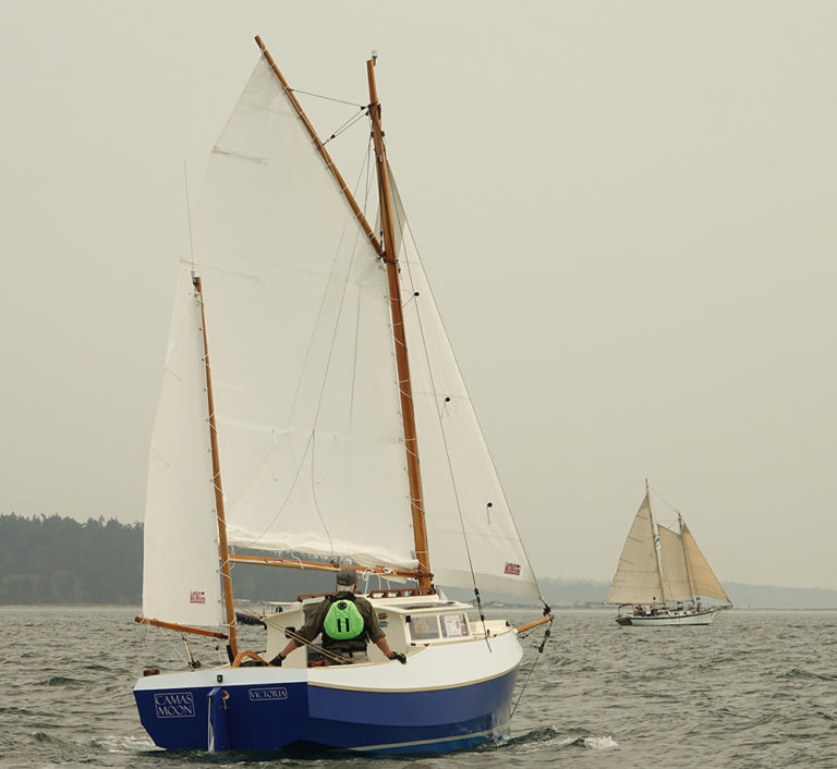 Off Port Townsend During Sailpast 2 1 768x706