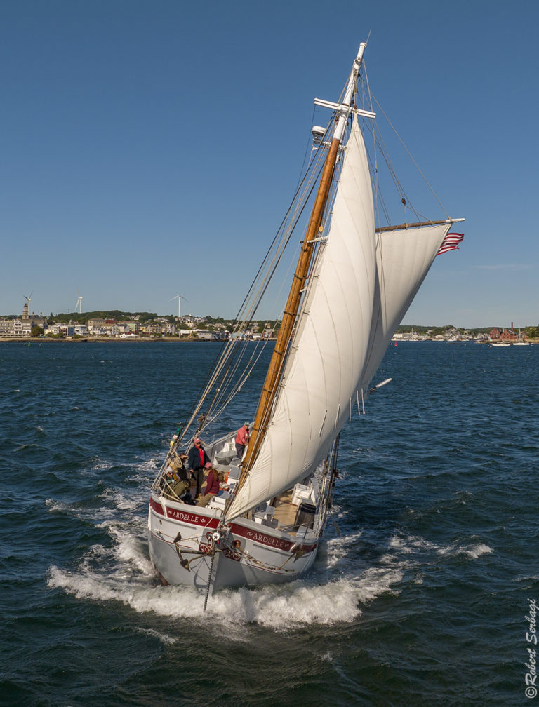 Robert Serbagi Ardelle 9 24 768x1008