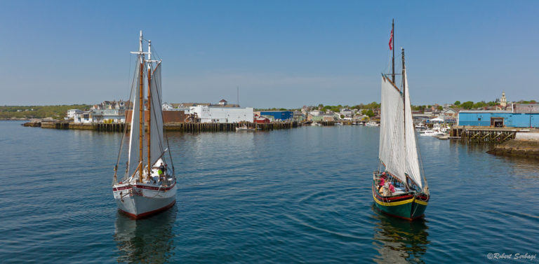 Robert Serbagi Ardelle and Isabella Harbor Cove 768x377