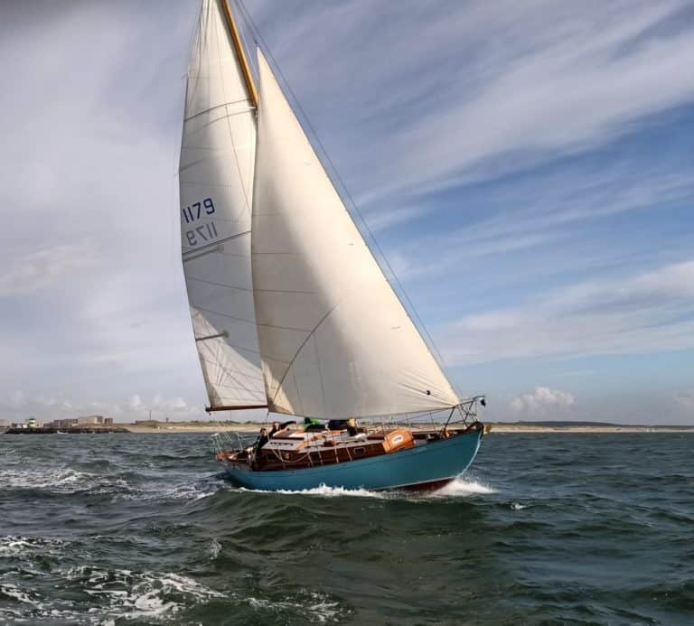 db7a4acd 9013 4a8c b9da a30744a67d55 768x693