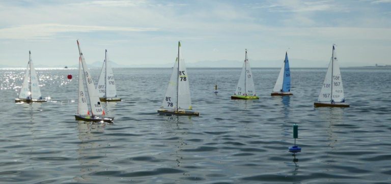 021 1446971012616 768x362