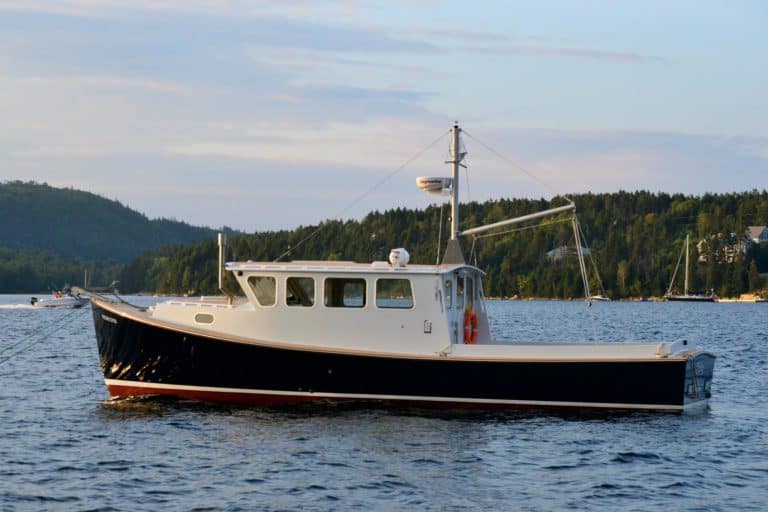 10547171 10152295267008207 1445628505411751344 o 768x512