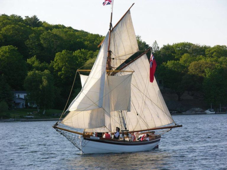 14067921 1079366695479485 7588355721358446589 o 768x576