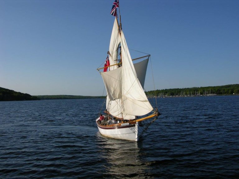 14068503 1079366722146149 8525877009611772448 o 768x576