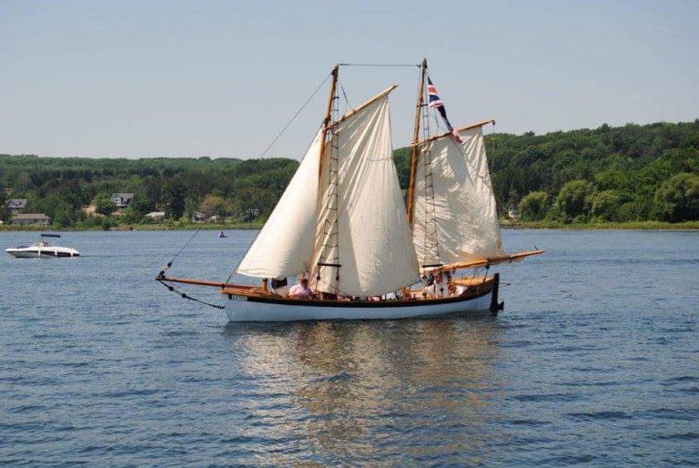 14124477 1079373715478783 5379914318746478460 o 1 768x514