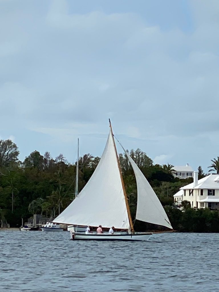 17C91001 C07E 4D5B BF61 ACFA8AAF9E6F 768x1024