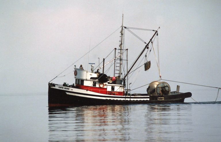 1986 Fishing Chum salmon in Finlayson Channel B.C. 768x494