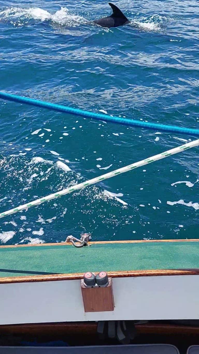 20230118 132626 frame at 0m14s 768x1365