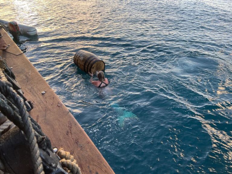 274168809 7354053587952943 406619248918693698 n 768x576