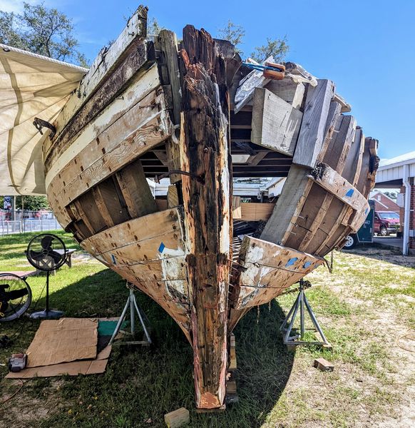 295031244 146895891288945 3802885603956363514 n