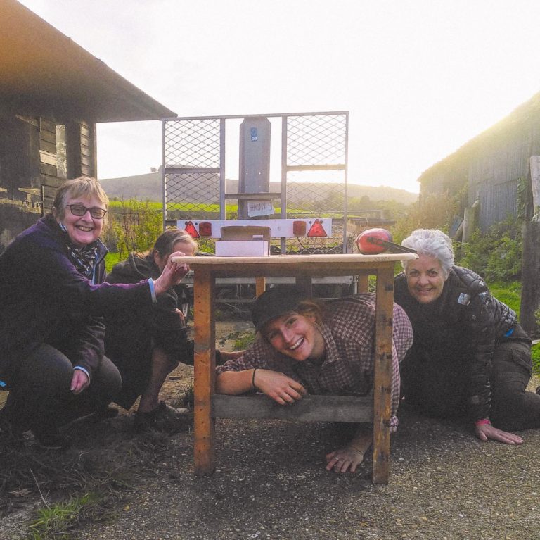 323917376 554472570059144 6395367496297915170 n 768x767