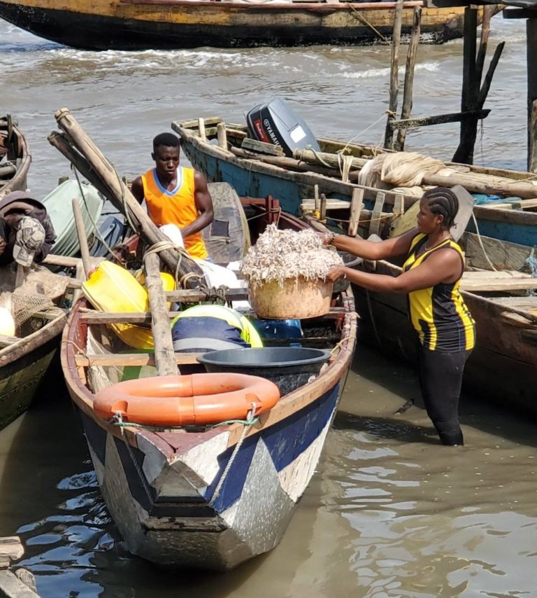 326823325 903858697315262 8318509221278563133 n 768x854