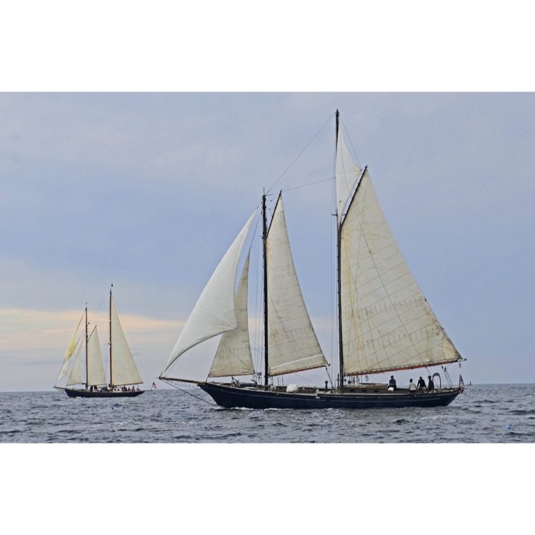 37554CA4 7F4D 4DDC BBE4 F121DC391CF1 768x768