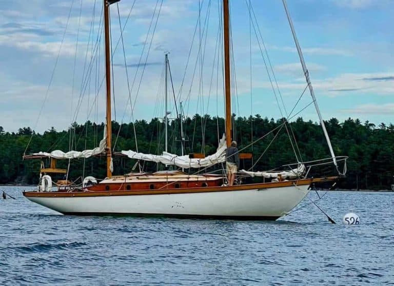 44DA5656 A1F7 4E8A ABDE 69C04F3644C1 copy 768x558