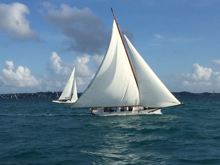 73F1E803 1FF6 497D 8BF2 2807583C4E3B 768x576