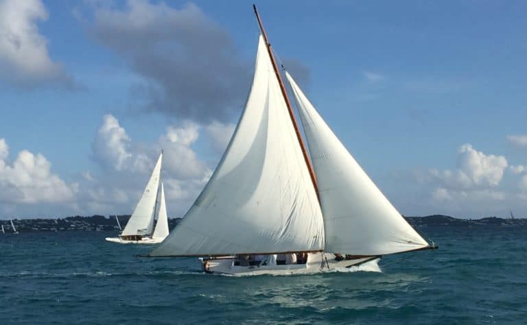 73F1E803 1FF6 497D 8BF2 2807583C4E3B copy 768x474