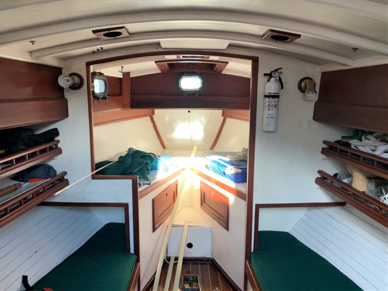 8110401 20211116110758275 1 XLARGE 768x576