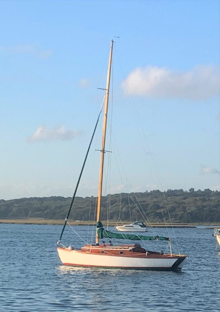 8110401 20211116110935063 1 XLARGE 768x1086