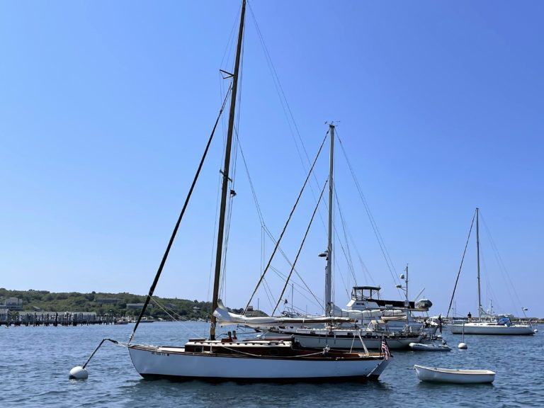 8110401 20220830171250105 1 XLARGE 768x576