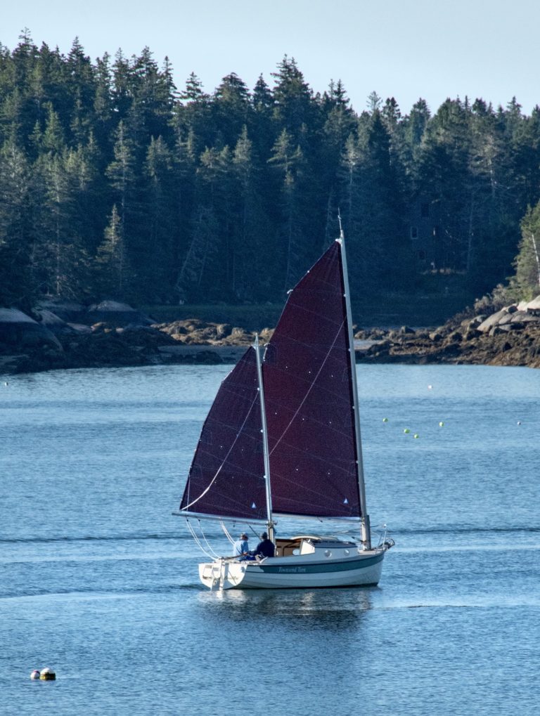 AB43C27A 516E 4280 A2CF D0F85FA1EDFF 768x1019