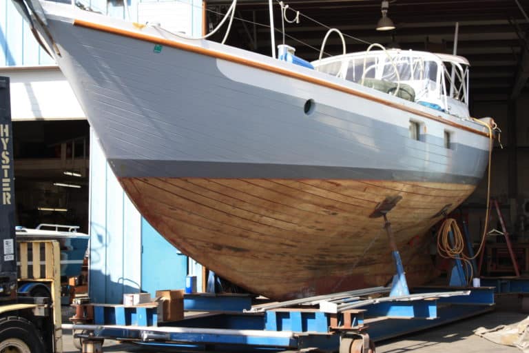 All Cannon Photos 1509 768x512