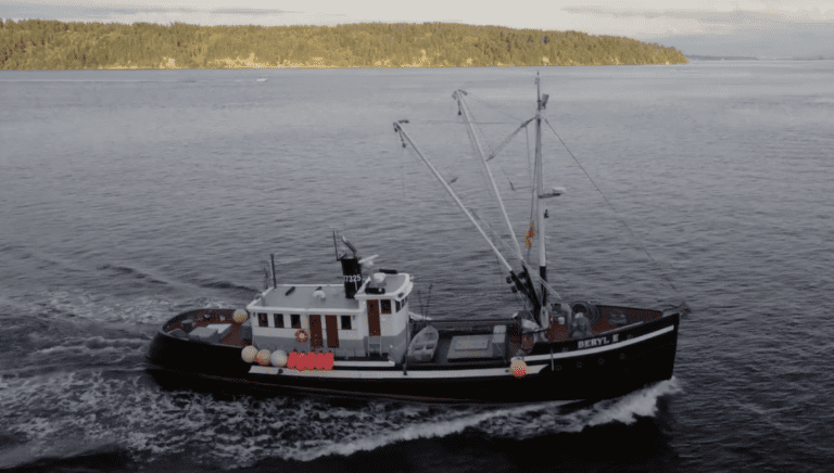 BERYL E from above 768x436