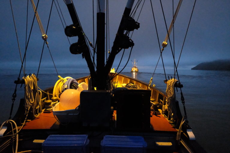 BerylE following Chicagof.QCSound449 copy 768x512