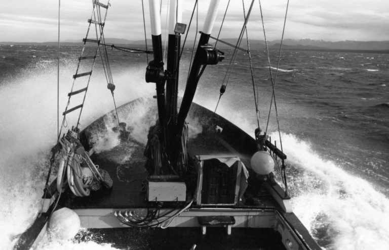 BerylEwaves.2114 768x495