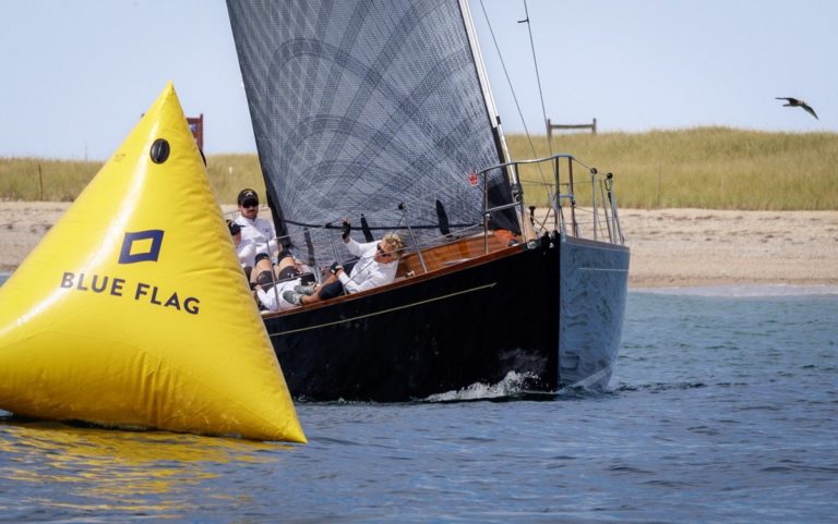 Blackfish rounding Z mark 768x481