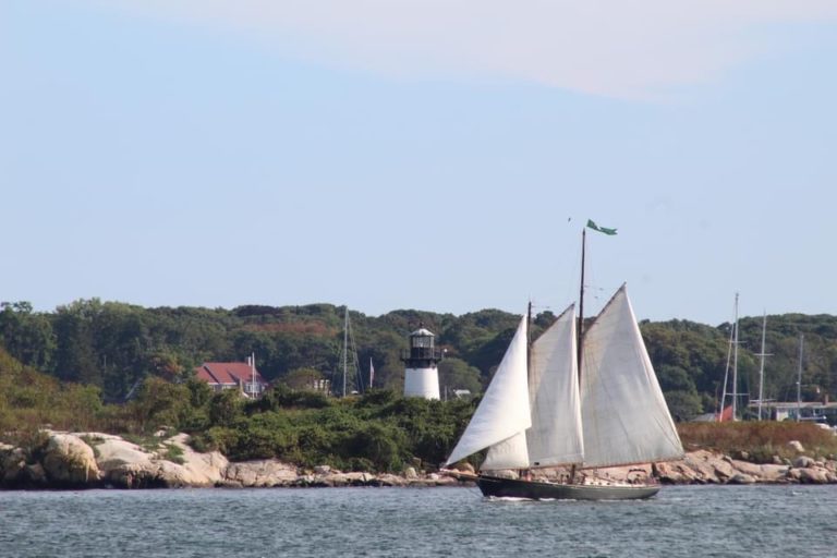 CE38F69C 9F69 4DA7 9B6C 20DFE79BB108 768x512