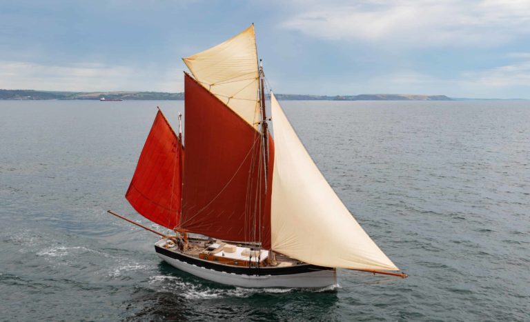 DJI 0696 copy 2 768x467