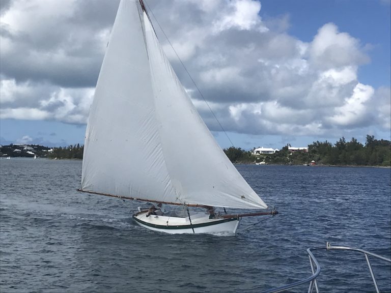 E24C1D4F C678 4B18 88BB E56AEA965456 768x576