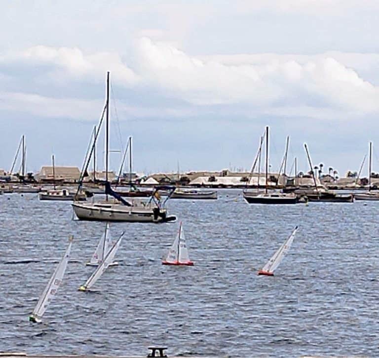 F529D7EE EA8F 413B 9B4D 37603E688936 768x724