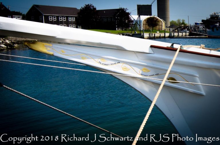 Freedom Eagle 1 768x508