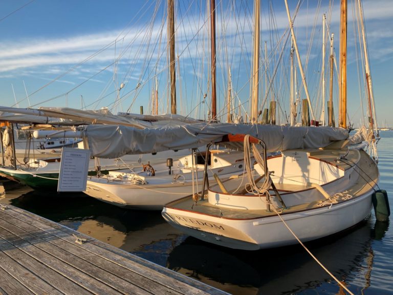 Freedom2 ChrisB 2 2048x1536 1 768x576