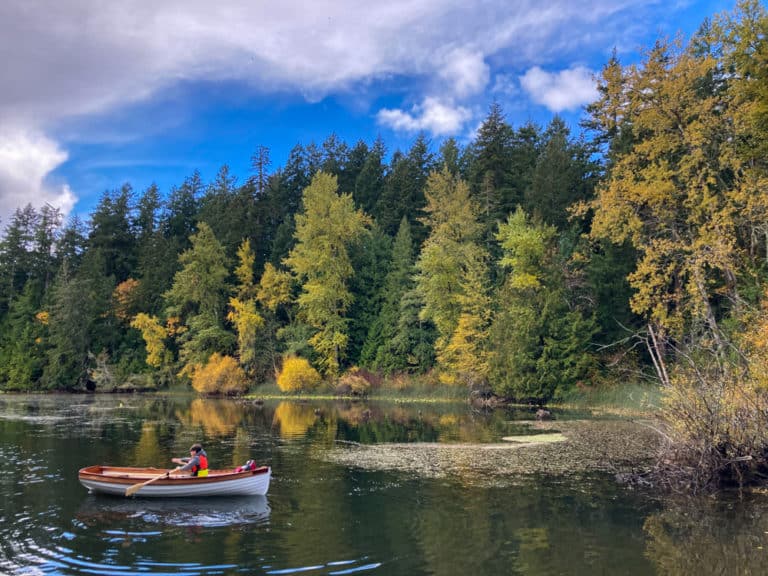 Iain Oughtred, Whitehall, Guillemot, Rowing