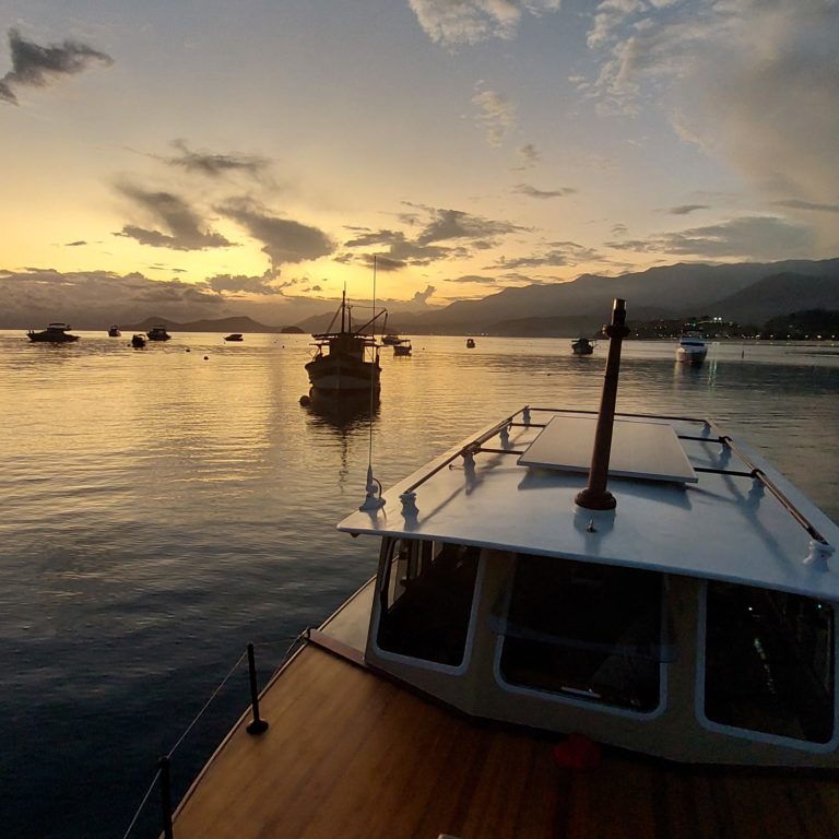 IMG 20230120 101121 246 1 768x768