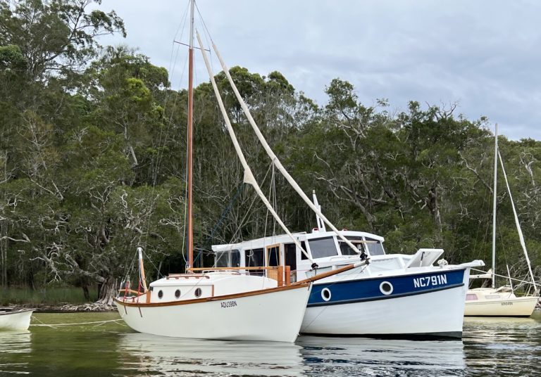 River Gypsy and Wild Wood