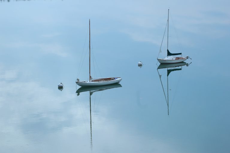 Paradise 2014 768x511