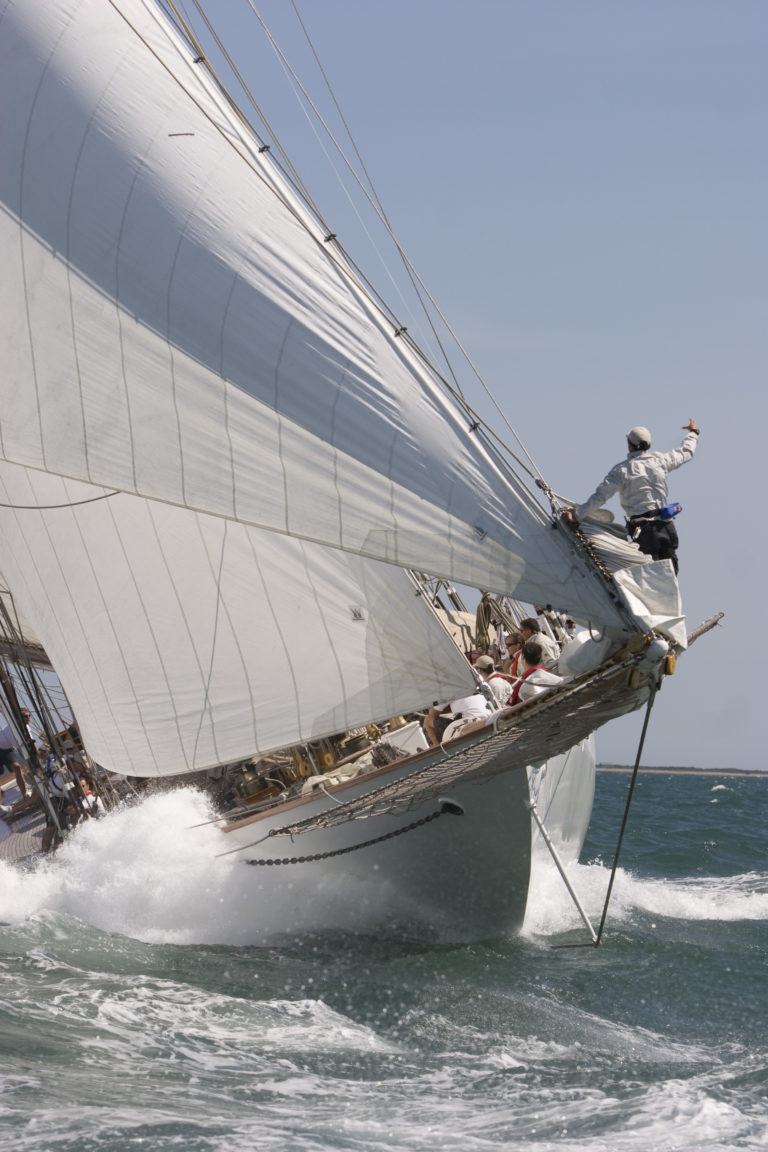 Pommett Ticonderoga 768x1152