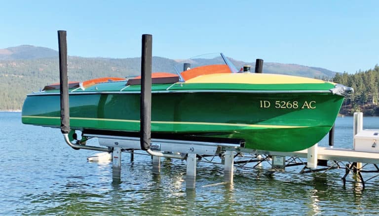 Sea Eagle Close Up 768x438