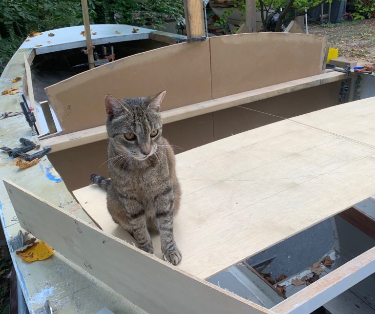 TommyHelping 768x643