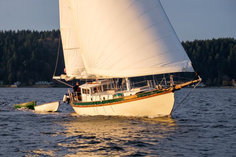 crownovember 12 768x512