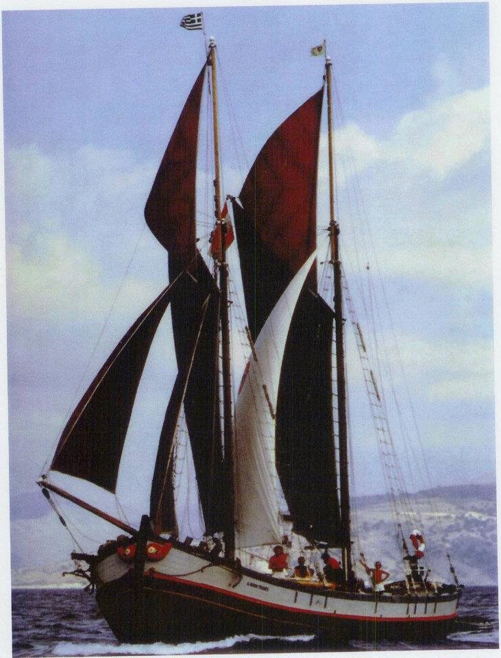 il nuovo triono nel 2011 1