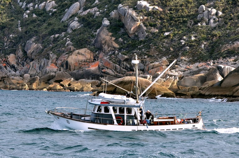 pelican at Wilsons Prom 768x508