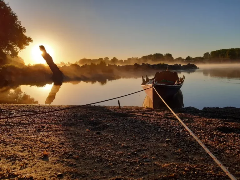 IMG 20220701 191418 284 768x576