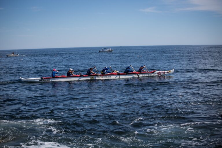 hr bbc 2106 4254 768x512