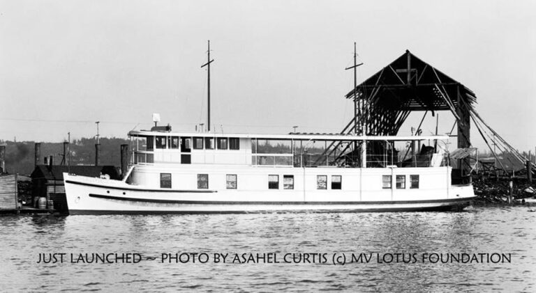 13782163 1738210879773589 1773335248760524939 n 768x421