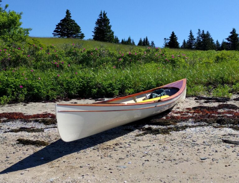 IMG 20190707 094040 768x590